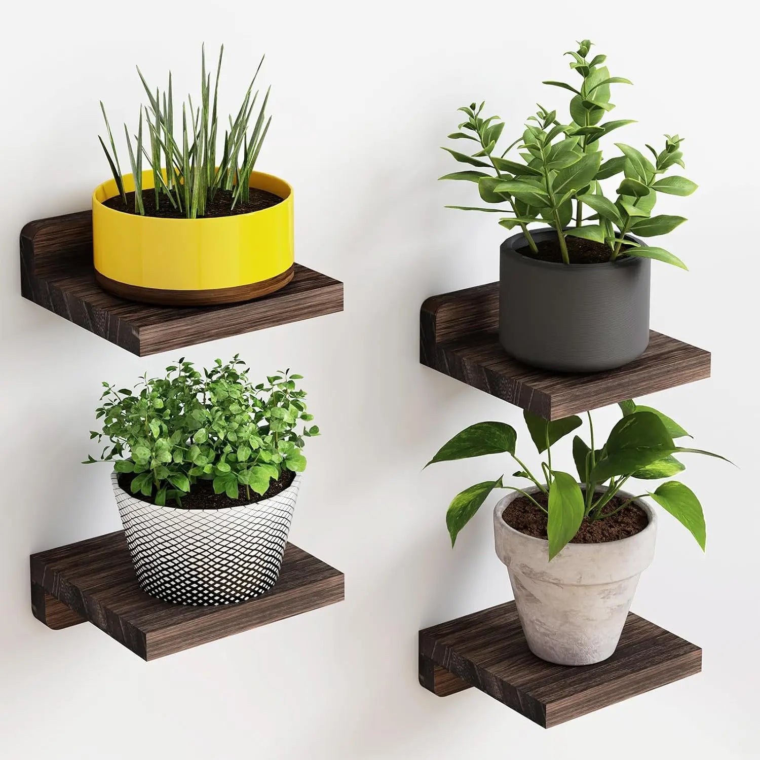 Turn Empty Walls into Warm, Organized Spaces| Small Floating Wall Shelves :  4-Pack Rustic Wood Wall Mounted Display Ledges for Home Decor 