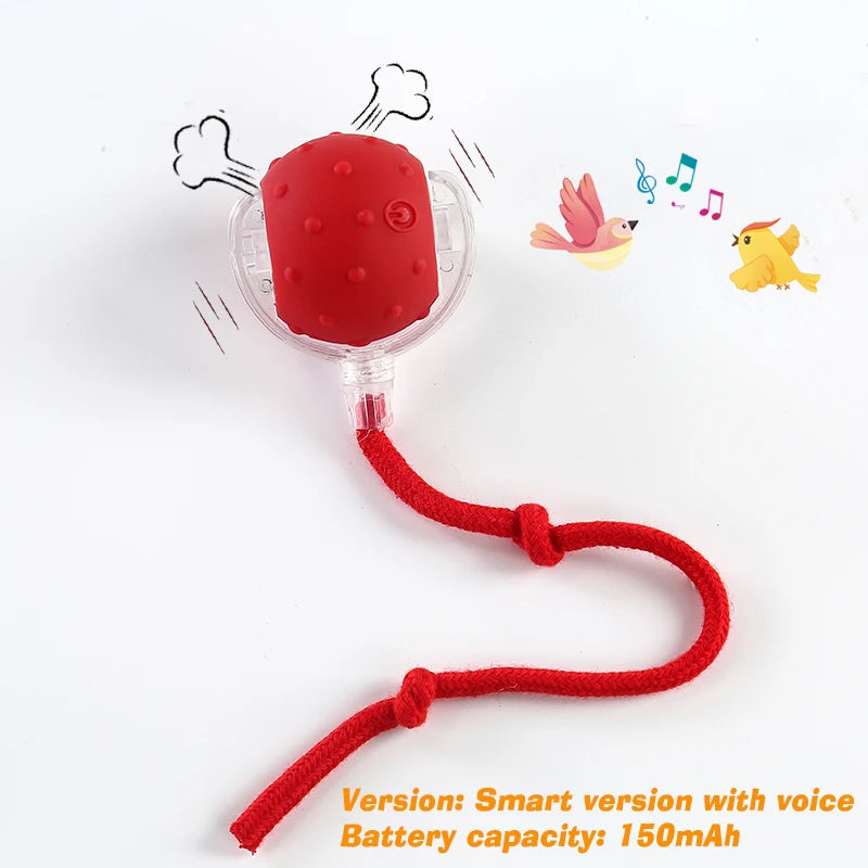   🐾 PawPilot Smart Rolling Ball | The Interactive Dog Toy That Keeps Tails Wagging for Hours