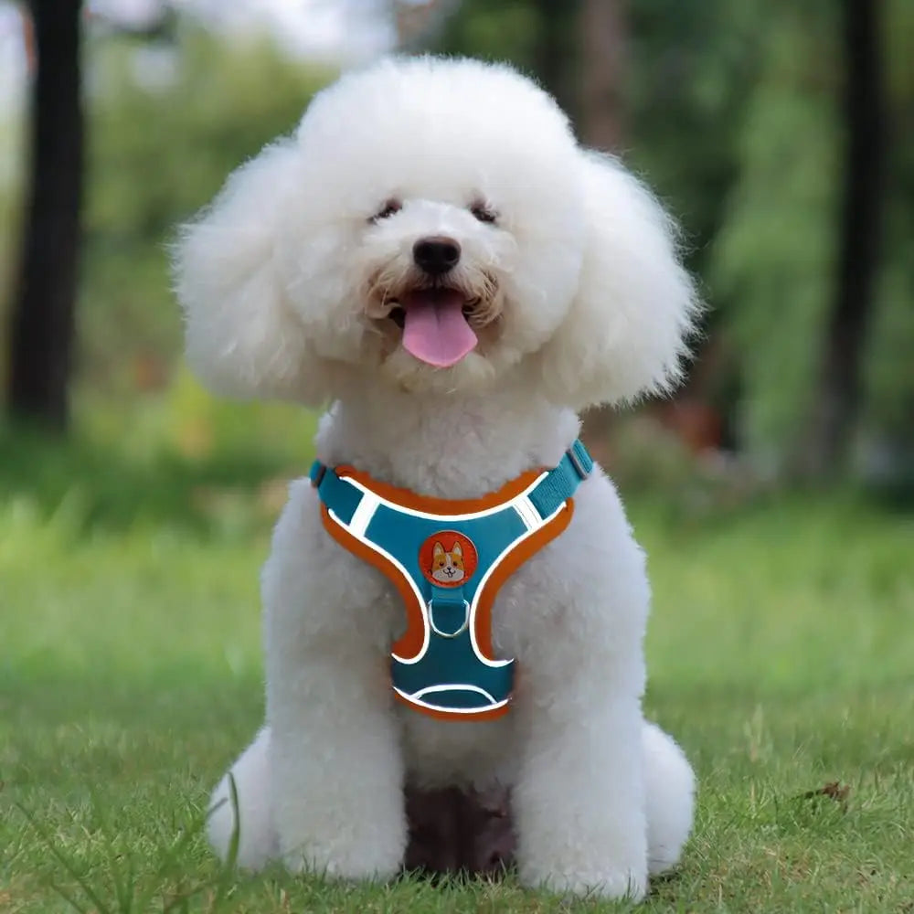 Adjustable Reflective Pet Harness Vest with Leash – Comfortable Chest Strap Walking Set for Dogs