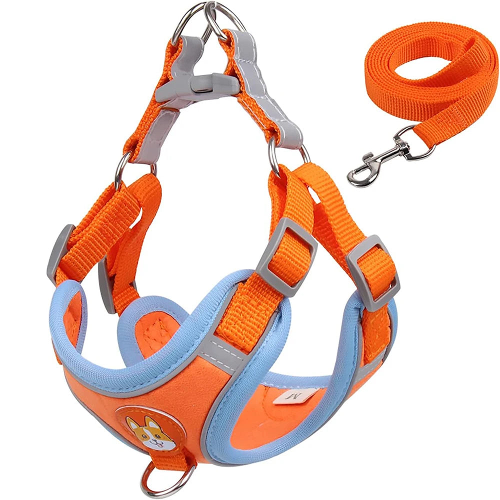 Adjustable Reflective Pet Harness Vest with Leash – Comfortable Chest Strap Walking Set for Dogs