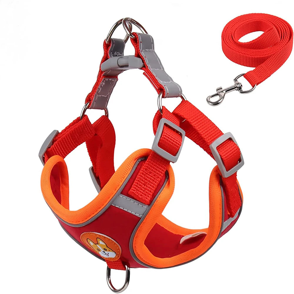 Adjustable Reflective Pet Harness Vest with Leash – Comfortable Chest Strap Walking Set for Dogs