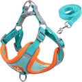Adjustable Reflective Pet Harness Vest with Leash – Comfortable Chest Strap Walking Set for Dogs