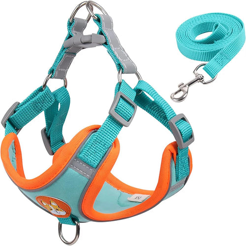 Adjustable Reflective Pet Harness Vest with Leash – Comfortable Chest Strap Walking Set for Dogs