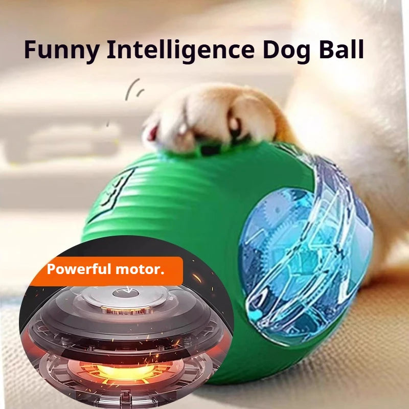   🐾 PawPilot Smart Rolling Ball | The Interactive Dog Toy That Keeps Tails Wagging for Hours