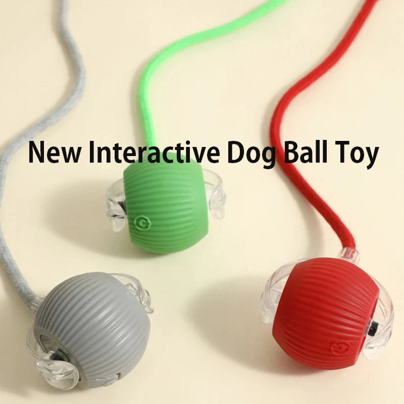   🐾 PawPilot Smart Rolling Ball | The Interactive Dog Toy That Keeps Tails Wagging for Hours