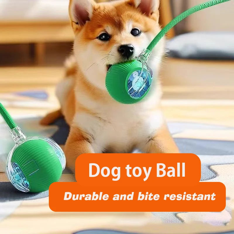   🐾 PawPilot Smart Rolling Ball | The Interactive Dog Toy That Keeps Tails Wagging for Hours