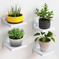 Turn Empty Walls into Warm, Organized Spaces| Small Floating Wall Shelves :  4-Pack Rustic Wood Wall Mounted Display Ledges for Home Decor 
